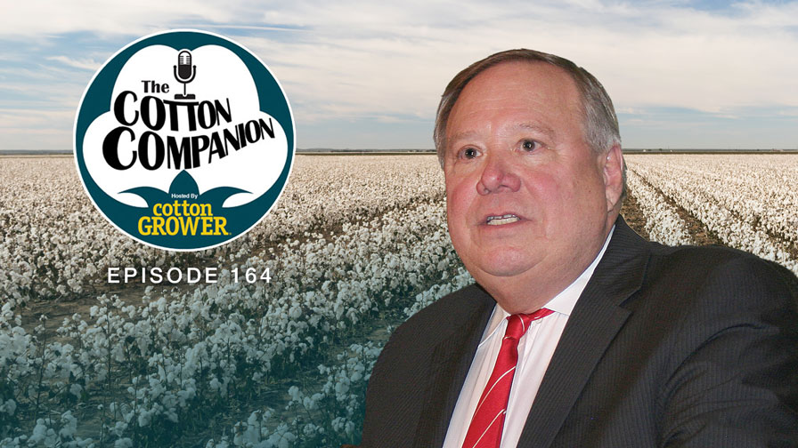Cotton Companion: Riding Cotton’s Price Roller Coaster – Again