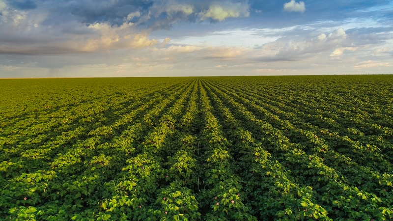 Kula Bio Launches New Line of Nitrogen Fixing Biological Products