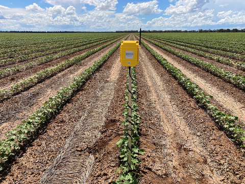 Cargill, Goanna Ag Pilot Irrigation Efficiency Technology in Mid-South Cotton