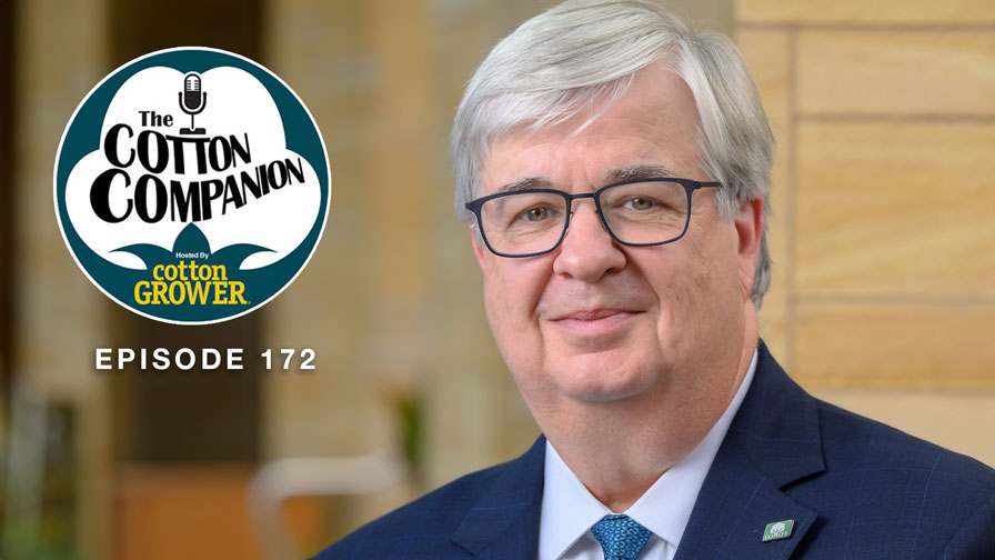Cotton Companion: Setting the Record Straight on Cotton Promotion