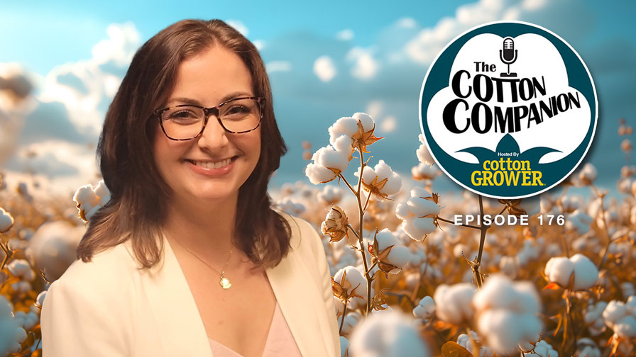 Cotton Companion: Beltwide Cotton Conferences Ready to Kick Off 2025