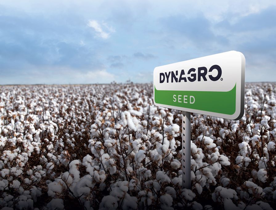 Dyna-Gro Maintaining Growth Through Specialized Products and Markets