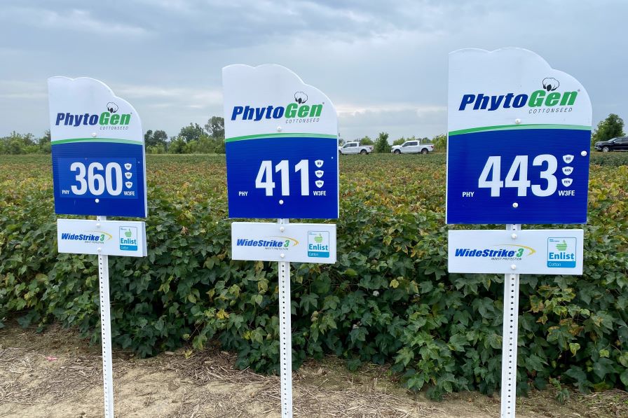 PhytoGen Finding a Broad Fit Across the Cotton Belt