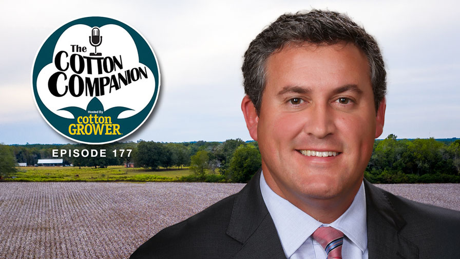 Cotton Companion: Discussing Cotton’s Fortunes for 2025