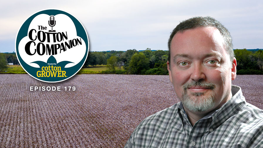 Cotton Companion: Cotton’s New Year – What’s Happened, What’s New and What’s Next for 2025?