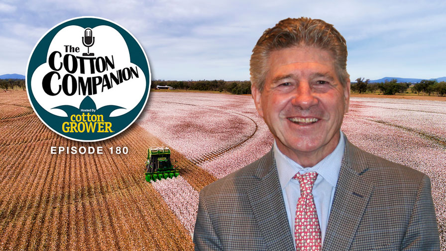 Cotton Companion: Cotton’s 2025 Outlook for the U.S., the World…and California