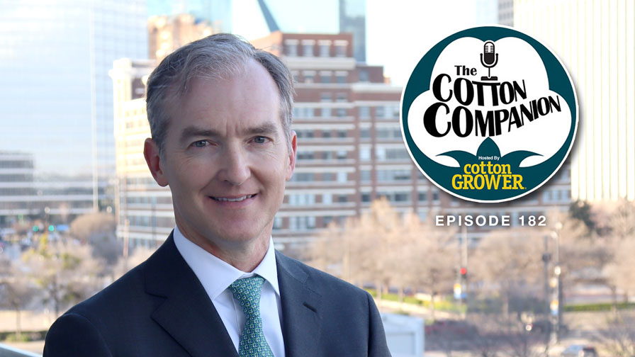 Cotton Companion: Cotton’s Agenda and New Leadership for 2025