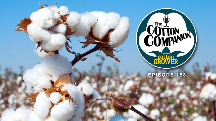 Cotton Companion: Observations from the Mid-South Farm & Gin Show