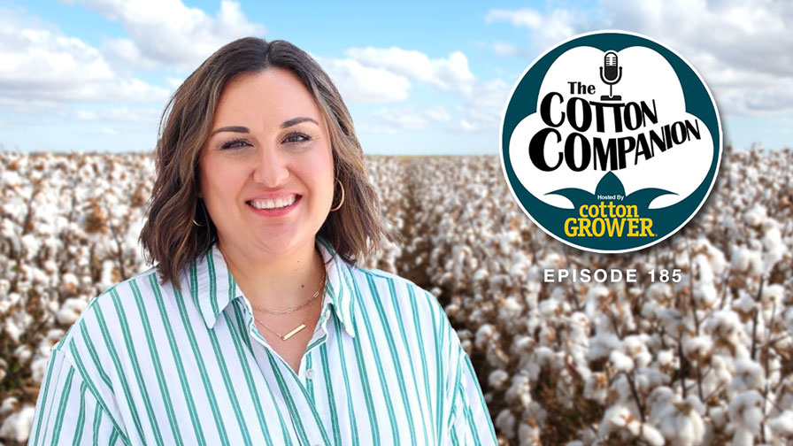 Cotton Companion: Button Up Farm Finances As Planting Nears