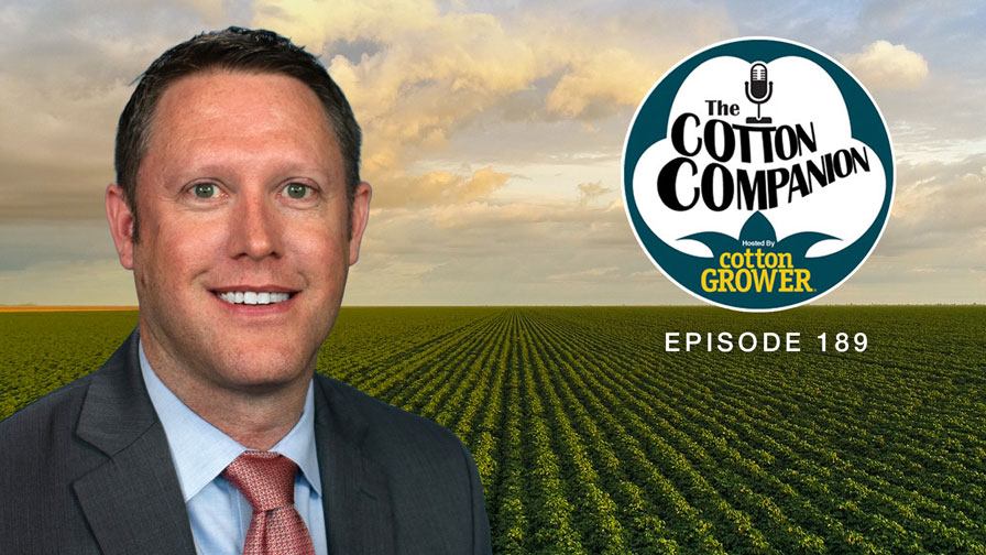 Cotton Companion: West Texas Focus With an Eye on DC