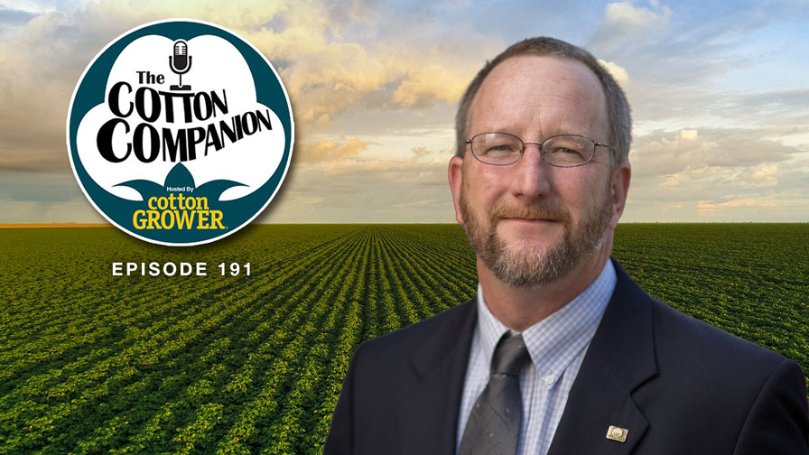 Cotton Companion: What’s New in Cotton’s Ag Tech Pipeline?