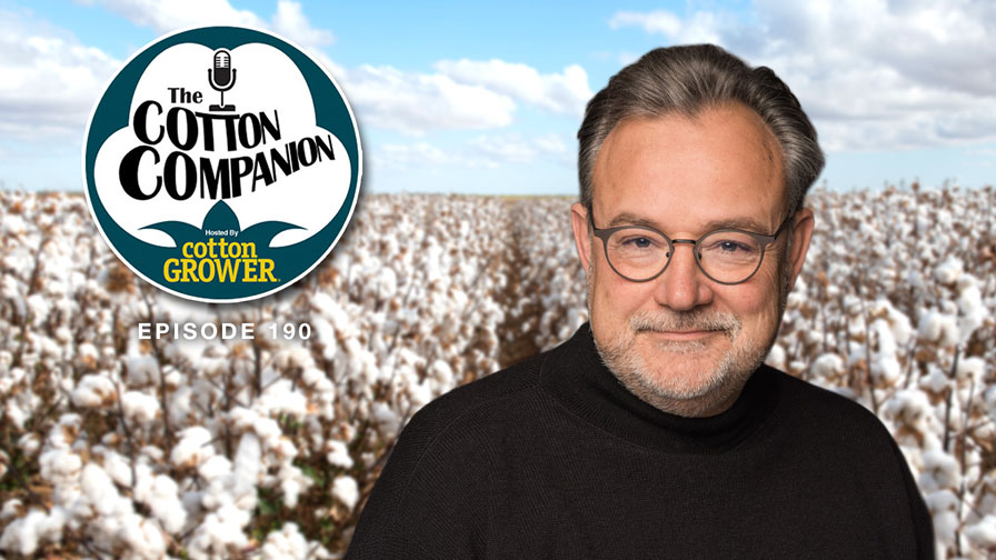 Cotton Companion: Have Environmentalists Damaged Cotton Demand?