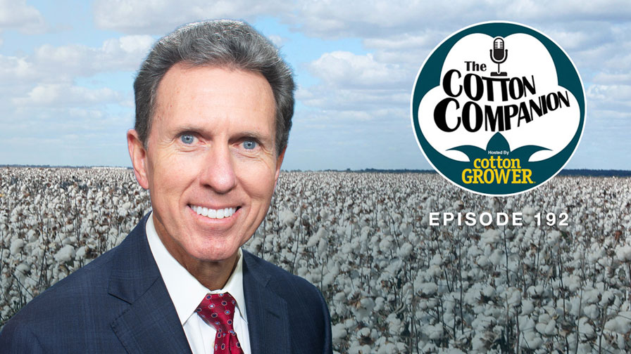 Cotton Companion: Examining the Big Beautiful Benefits for Cotton
