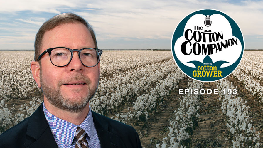 Cotton Companion: Reviewing Cotton’s Current Research Programs and Priorities