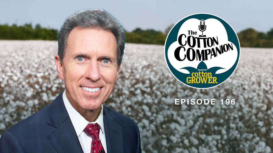 Cotton Companion: 49 Meetings, 16 States, 6 Weeks