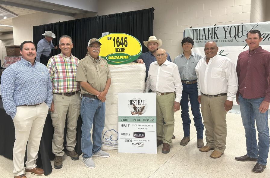 First Cotton Bale Harvested Fetches $24,000 for Scholarship Fund