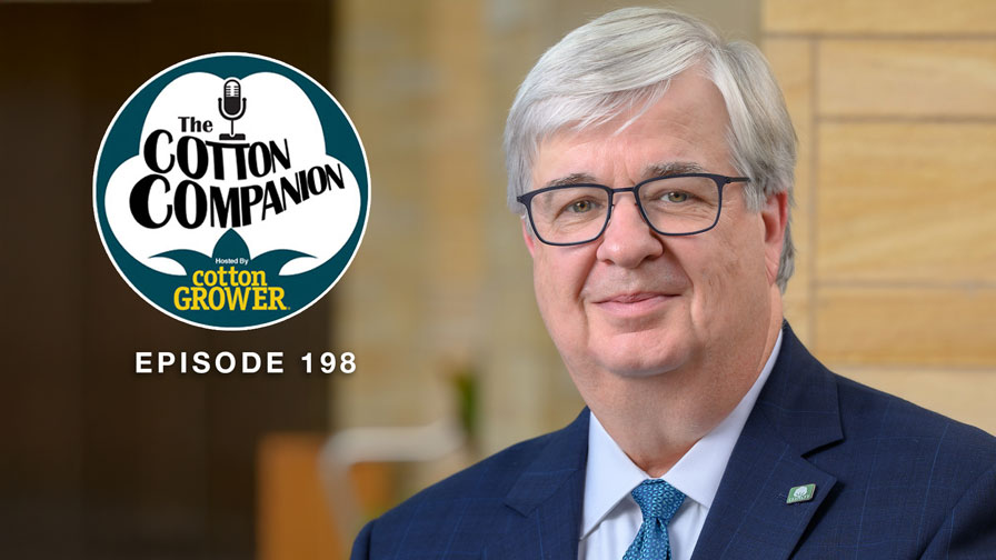 Cotton Companion: Cotton Promotion Program Evolving for a Changed World