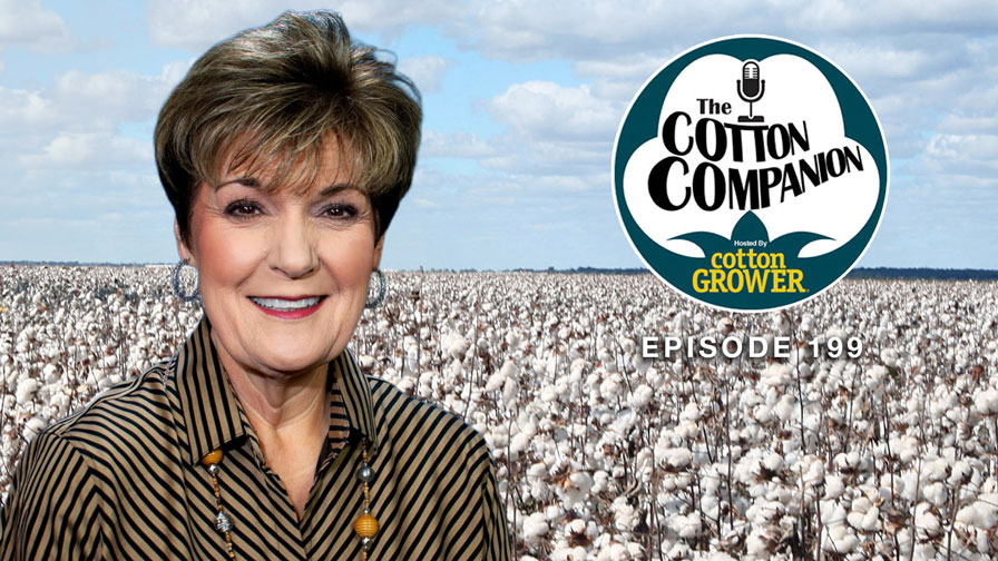 Cotton Companion: Plant Not Plastic: Cotton Takes On Microplastics and Polyester