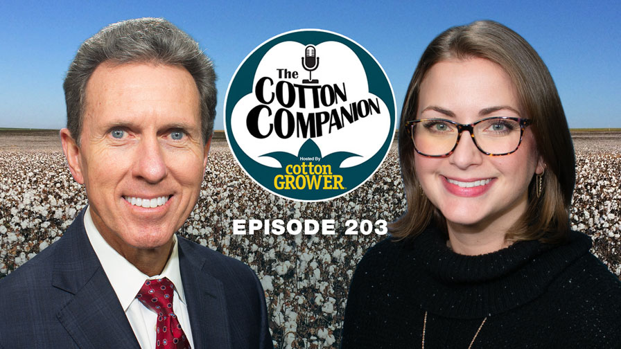 What USDA’s $12 Billion Relief Package Means for Cotton