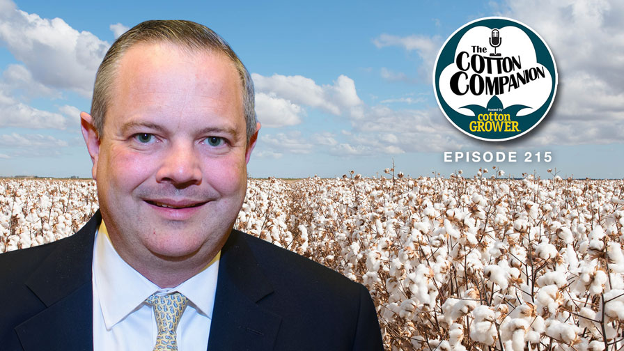 A Closer Look at the Great American Cotton Plan