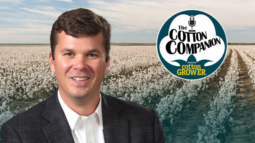 Is Cotton Policy Changing?