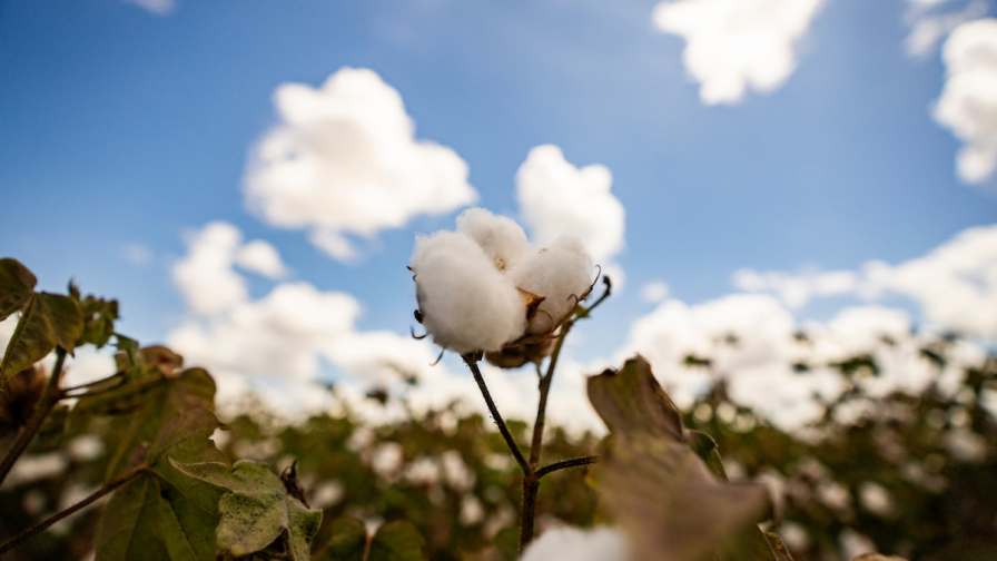 NCC Welcomes Farm Bill Advancement Through Committee