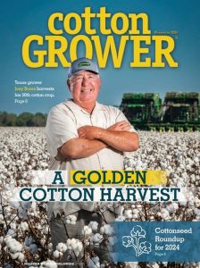 November 2024 issue cover