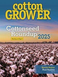November 2025 issue cover