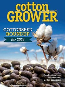 November 2023 issue cover
