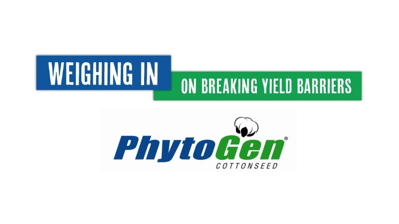 Weighing In On Breaking Yield Barriers